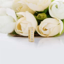 Charms Ponadczasowy blask, PANDORA Shine