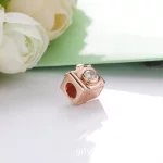 Charms PANDORA Rose Aparat 787986CZ
