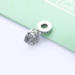 Zawieszka PANDORA Nie ma jak w sercu 798284CZ