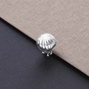 Harry Potter, Charms PANDORA Harry Potter 798626C01