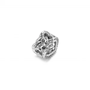 Charms Lśniące złączone serca - 799270C01