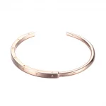 Bransoletka bangle Pandora Signature I-D - 589493C00