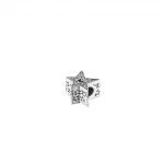 Charms Lśniąca asymetryczna gwiazda - 790016C01