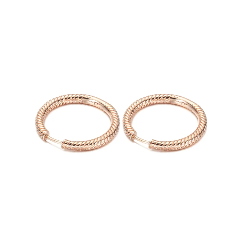 (zdjęcie do) Kolczyki obręcze Pandora Moments Charm - 289532C00 - Wyświetl 3