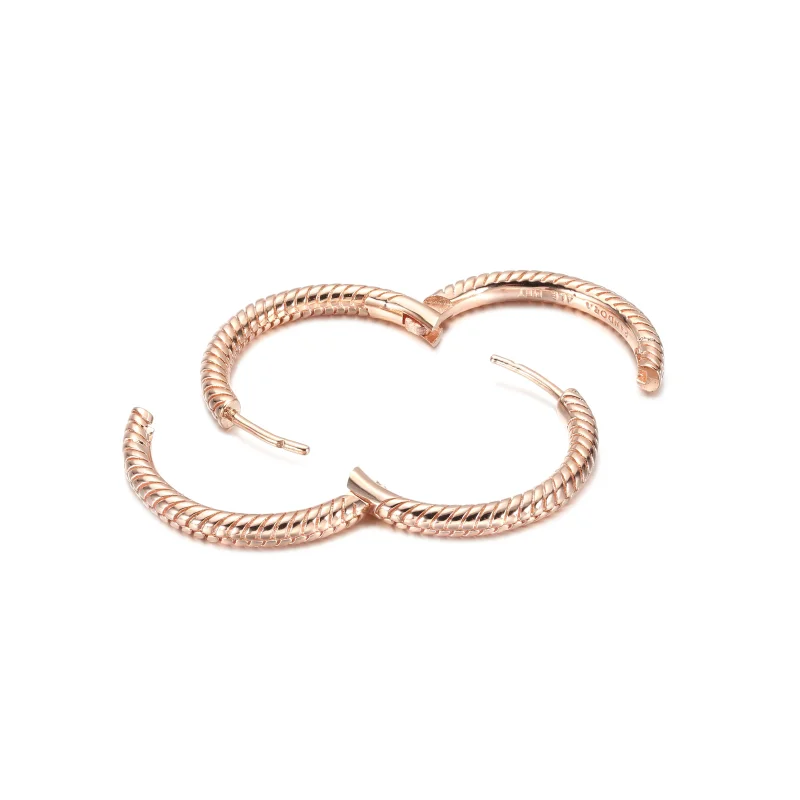 (zdjęcie do) Kolczyki obręcze Pandora Moments Charm - 289532C00 - Wyświetl 4