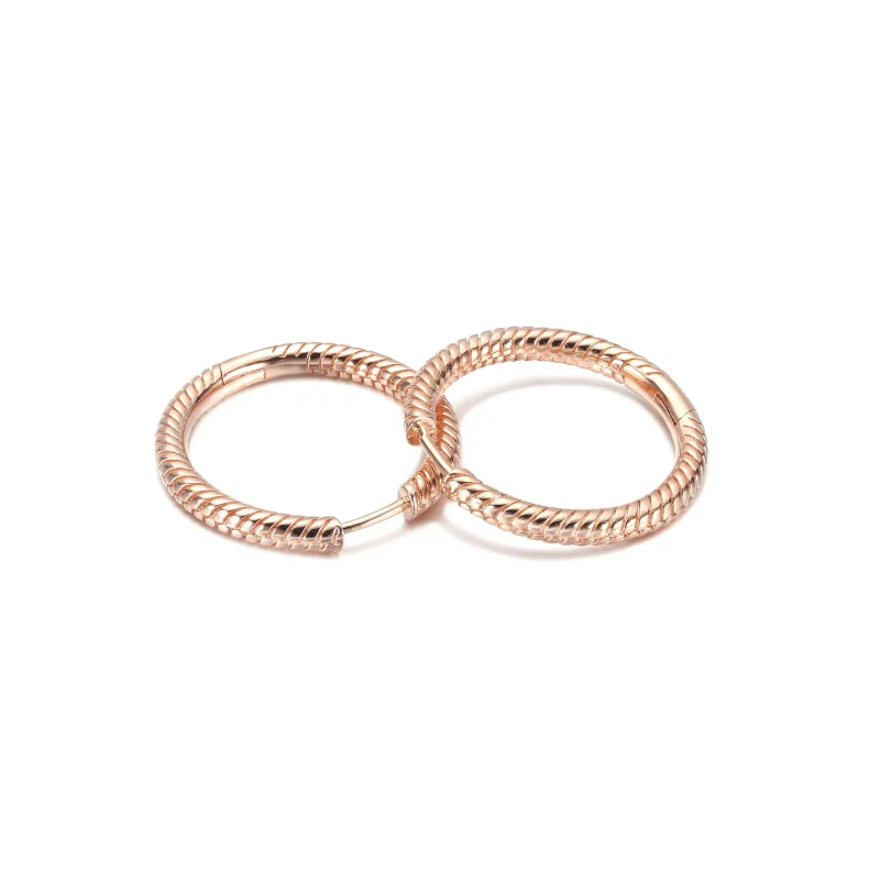 (zdjęcie do) Kolczyki obręcze Pandora Moments Charm - 289532C00 - Wyświetl 5
