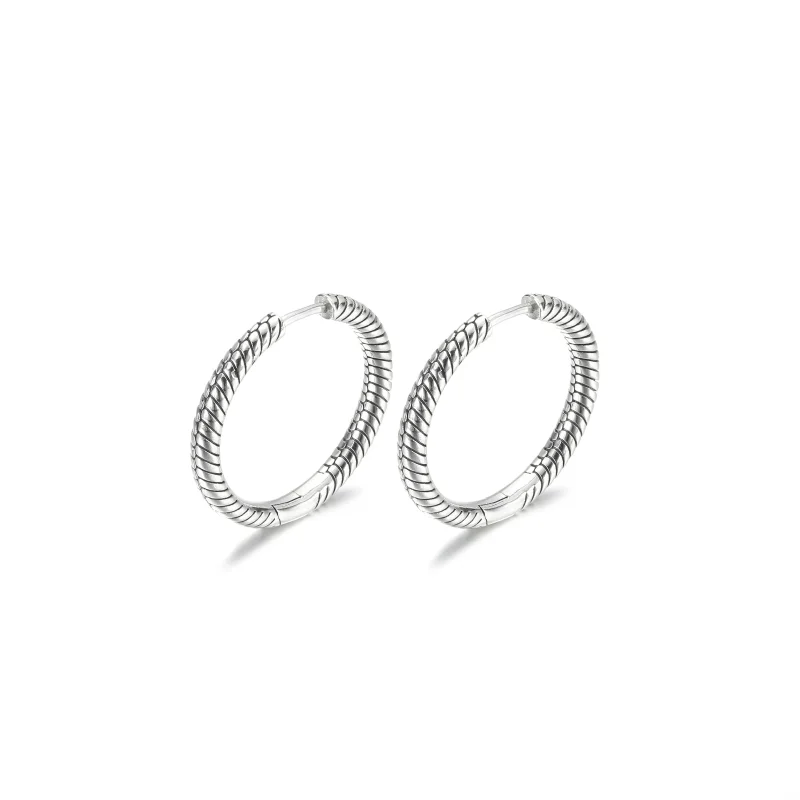 (zdjęcie do) Kolczyki obręcze Pandora Moments Charm - 299532C00 - Wyświetl 5