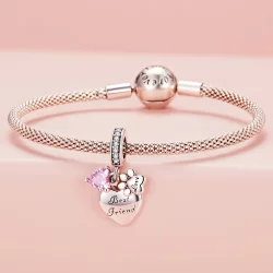 Pandora Styl Wieczni Przyjaciele Charm - SCC2436