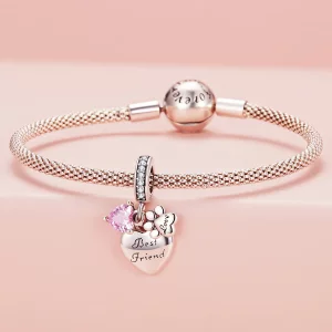Pandora Styl Wieczni Przyjaciele Charm - SCC2436