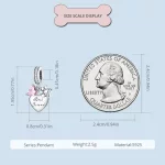 Pandora Styl Wieczni Przyjaciele Charm - SCC2436