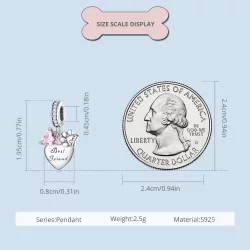 Pandora Styl Wieczni Przyjaciele Charm - SCC2436