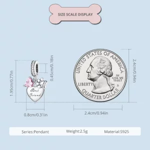 Pandora Styl Wieczni Przyjaciele Charm - SCC2436