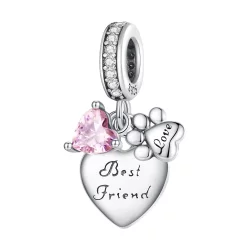 Pandora Styl Wieczni Przyjaciele Charm - SCC2436