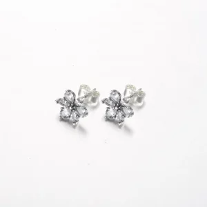 Pandora Błyszczące Kolczyki Studniowe z Klastrami Herbarium - 292633C01