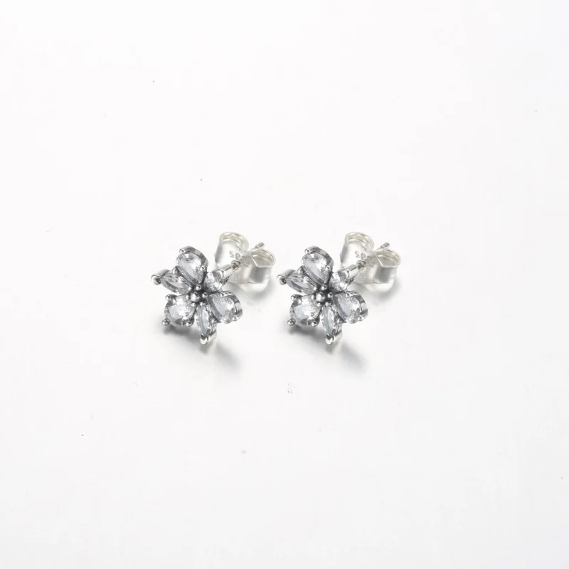(zdjęcie do) Pandora Błyszczące Kolczyki Studniowe z Klastrami Herbarium - 292633C01 - Wyświetl 2