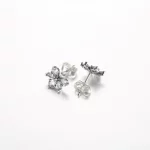 Pandora Błyszczące Kolczyki Studniowe z Klastrami Herbarium - 292633C01
