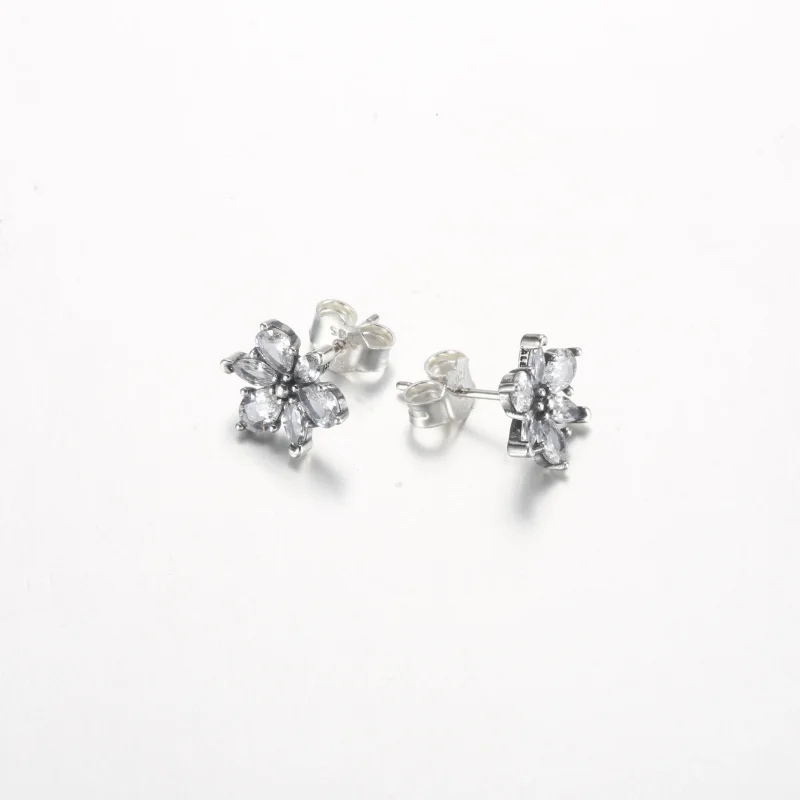 (zdjęcie do) Pandora Błyszczące Kolczyki Studniowe z Klastrami Herbarium - 292633C01 - Wyświetl 5