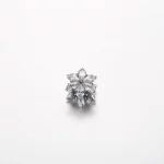 Pandora Błyszczący Charm Zestaw Herbarium - 792623C01