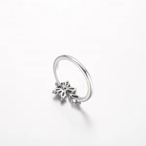 Pandora Błyszczący Pierścionek z Klastrami z Herbarium - 192611C01