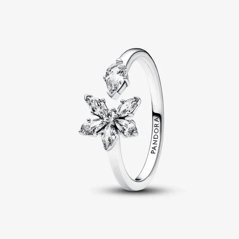 (zdjęcie do) Pandora Błyszczący Pierścionek z Klastrami z Herbarium - 192611C01