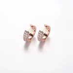 Pandora Timeless Pavé Kolczyki z Podwójnym Rządem - 282622C01