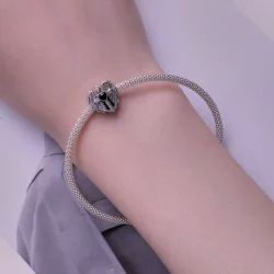 Pandora Styl Charmu Wiara chroni - SCC2496