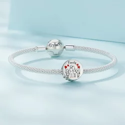 Pandora Style Family Charm - SCC2494