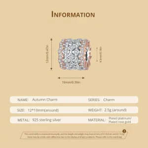 Pandora Style Jesienny Kolor Charmu - BSC908