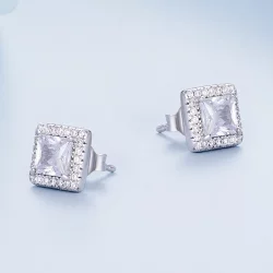 Pandora Style Light Luxury Stud Earrings - BSE895