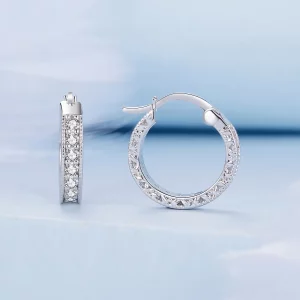 Pandora Style Shine Kolczyki na Kółkach - BSE868