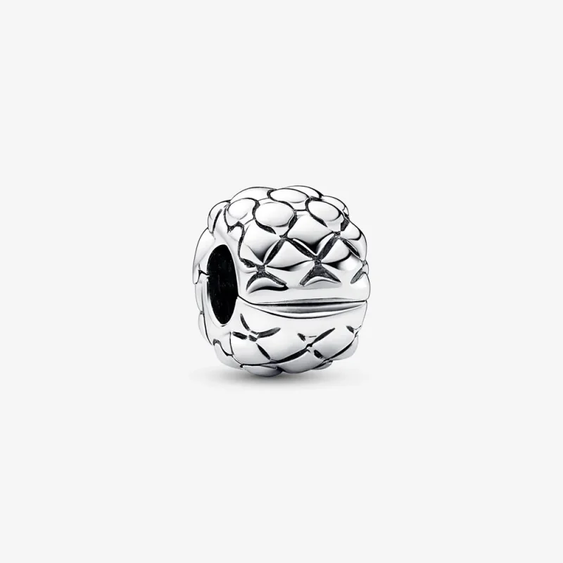 (zdjęcie do) Zawieszka z klipsem Pandora - 792746C00
