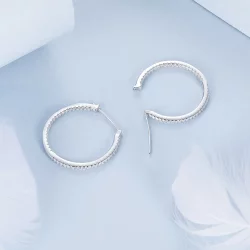 Lśniące kolczyki w stylu PANDORA - BSE1023-L