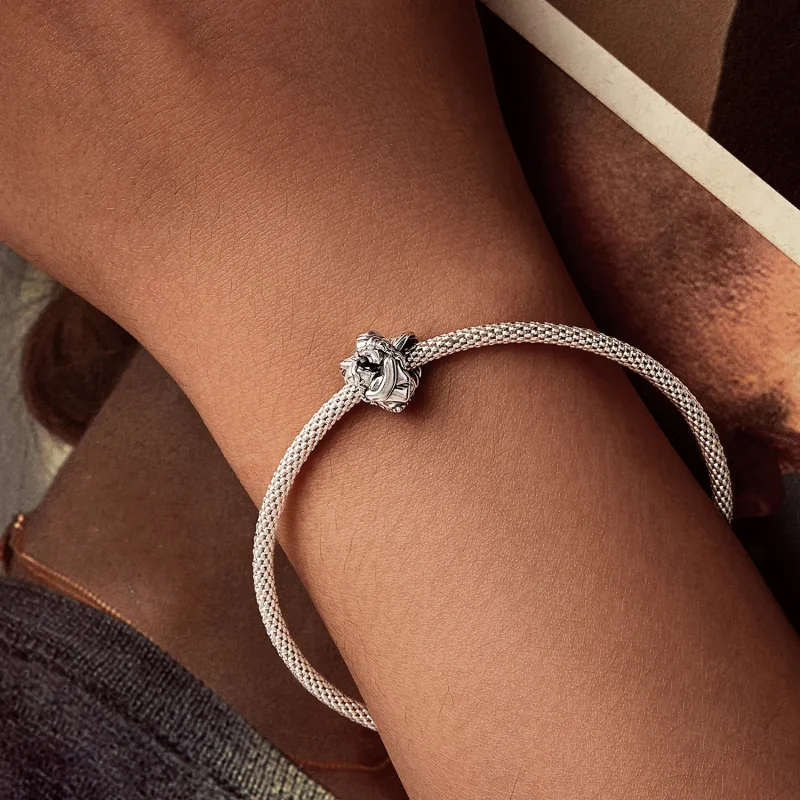 (zdjęcie do) Koraliki PANDORA Style Embrace - SCC2846 - Wyświetl 6