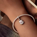 Zawieszka-pudełko na pamiątkę w stylu PANDORA - urna dla zwierząt - BSC1037