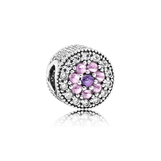 (zdjęcie do) PANDORA Olśniewający Kwiatowy Charms - 791820pczmx