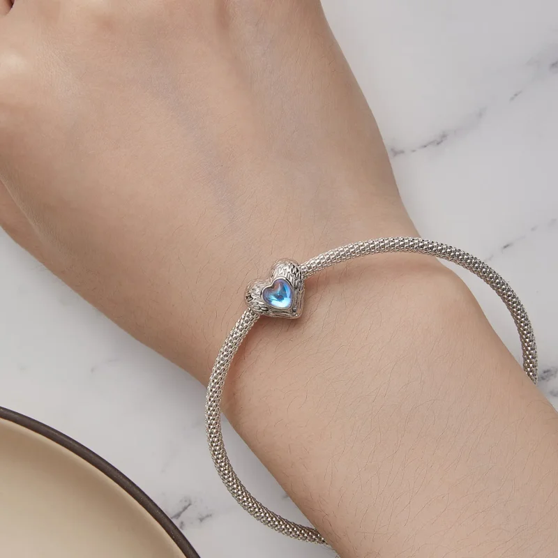 (zdjęcie do) Pandora Styl Amulet Opiekuna Serca - BSC867 - Wyświetl 7