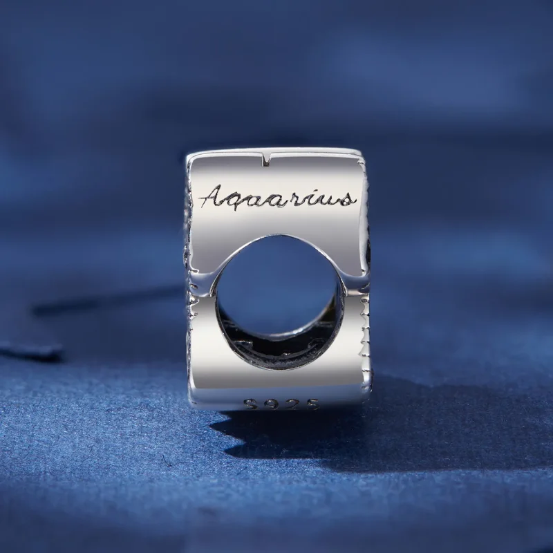 (zdjęcie do) Pandora Style Aquarius Lucky Zodiac Charm - SCC2516-12 - Wyświetl 3
