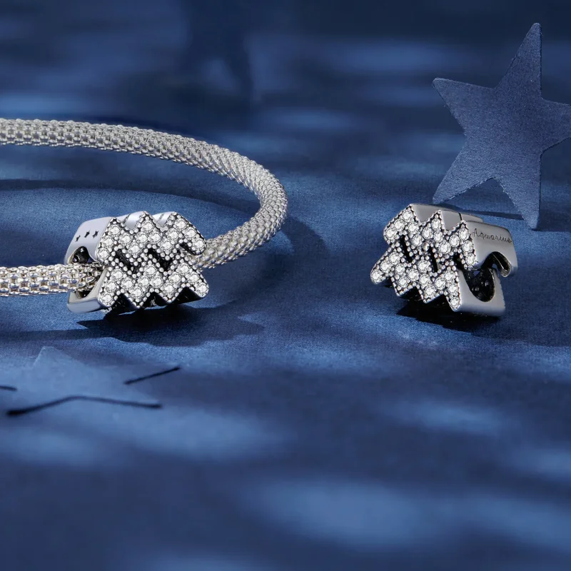 (zdjęcie do) Pandora Style Aquarius Lucky Zodiac Charm - SCC2516-12 - Wyświetl 4