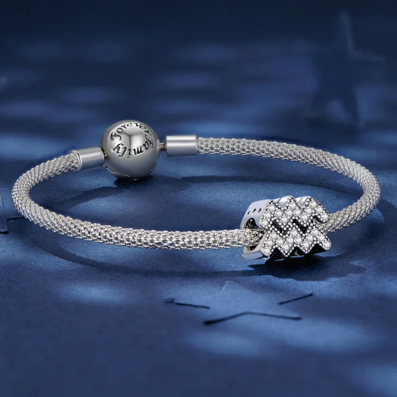 (zdjęcie do) Pandora Style Aquarius Lucky Zodiac Charm - SCC2516-12 - Wyświetl 5