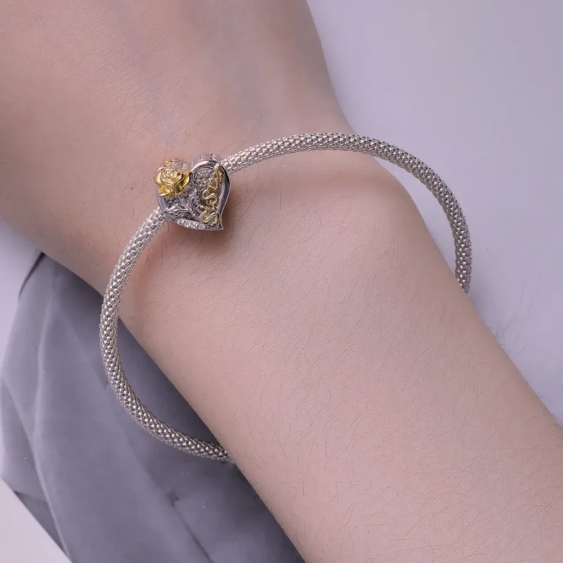 (zdjęcie do) Pandora Style Charakterystyczny dla Sióstr - BSC841 - Wyświetl 6