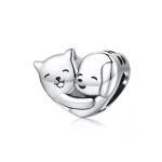 Charms Typu Pandora Brat - SCC1856