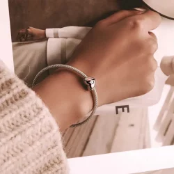 Charms Typu Pandora Dwukolorowa miłość - BSC566