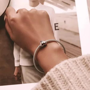 Charms Typu Pandora Dwukolorowa miłość - BSC566