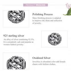 Charms Typu Pandora Energia - SCC1830