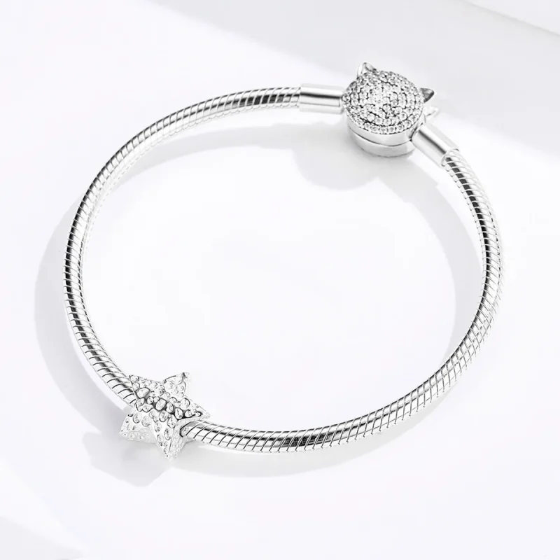 (zdjęcie do) Charms Typu Pandora Gwiaździsty - SCC1246 - Wyświetl 3