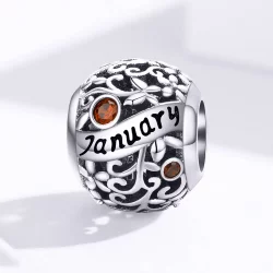Charms Typu Pandora Kamień narodzin w styczniu - SCC1385-1
