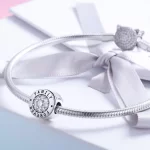 Charms Typu Pandora Na zawsze w domu - SCC814