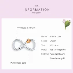 Charms Typu Pandora Nieskończona miłość - SCC1463