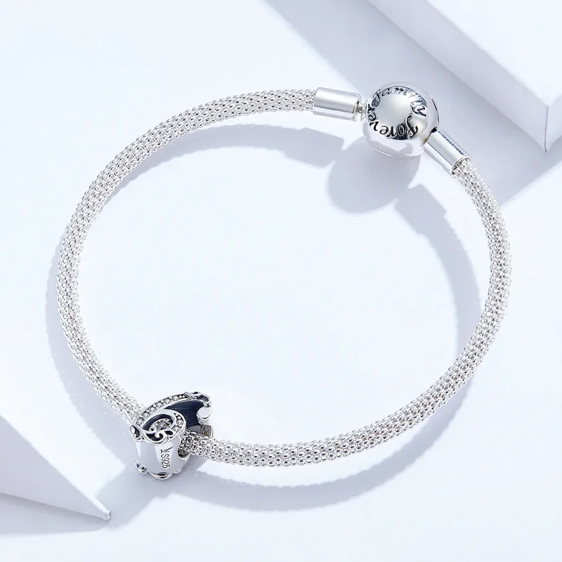 (zdjęcie do) Charms Typu Pandora Numer 6 - SCC1418-6 - Wyświetl 3