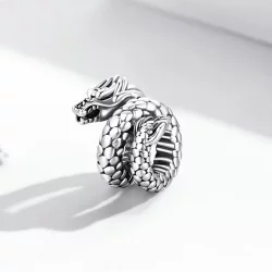 Charms Typu Pandora Retro Panlong - BSC546